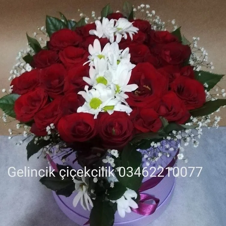 Kutu Gül Papatya