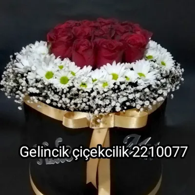 Papatya Gül  Kutuda